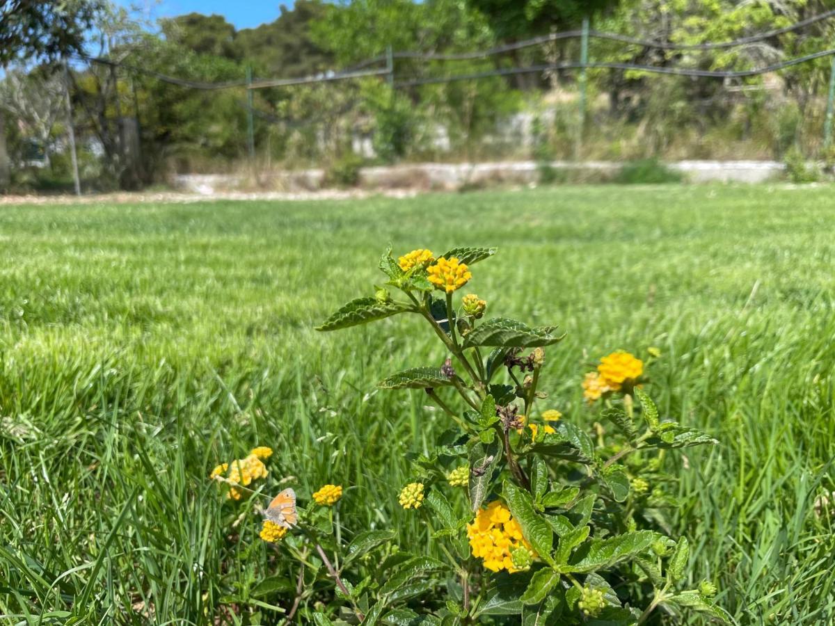Villa Anna Maria โอตรันโต ภายนอก รูปภาพ